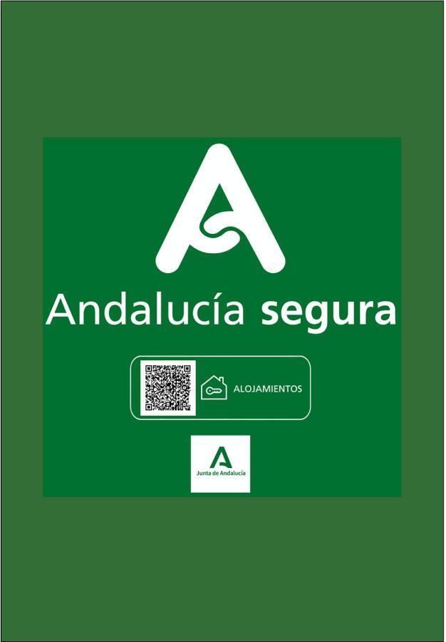Holidays2Malaga Heredia 3 bedroom opposite Malaga Port Bagian luar foto